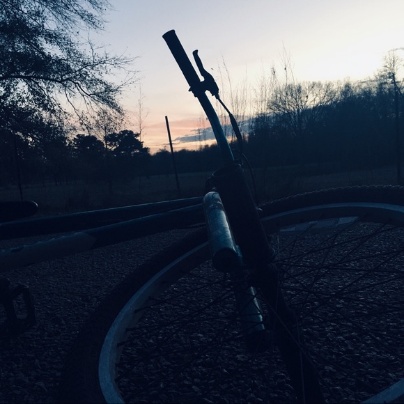 Meet your Posher, Kaylee - Picture 1 of 1